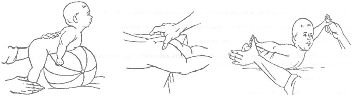 nervnaya-sistema-2